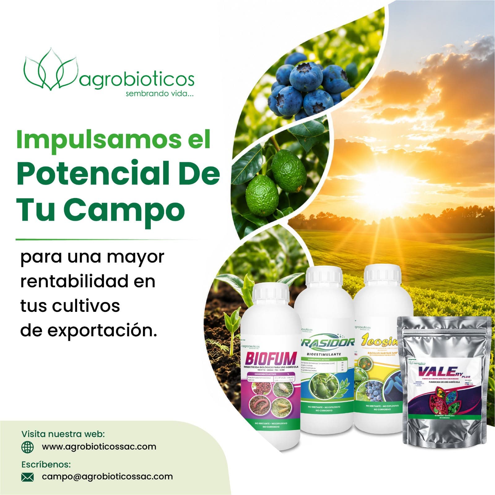 Interior — Agrobióticos