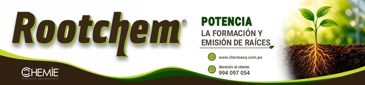 Interior — Chemie