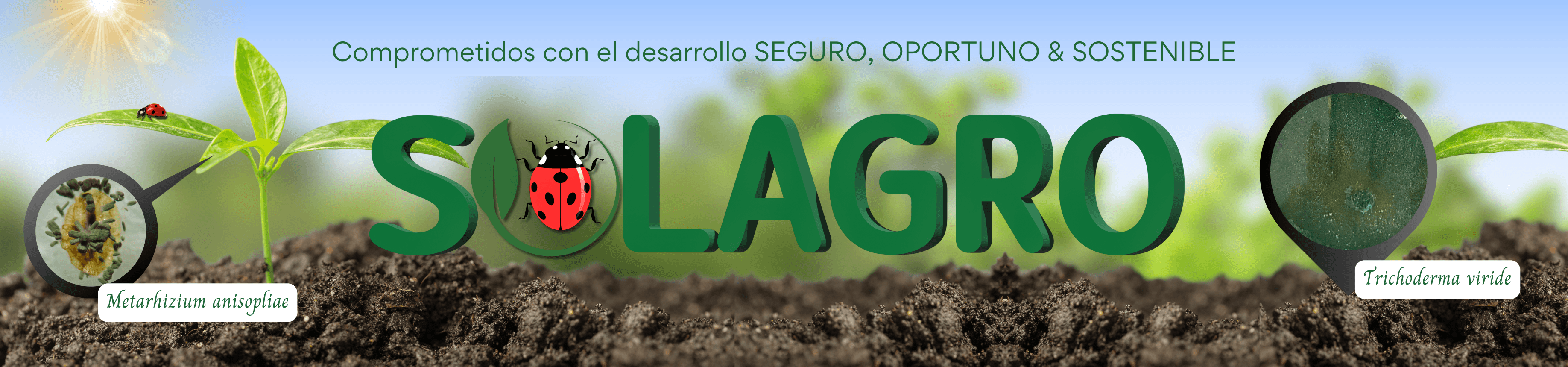 Interior — Solagro
