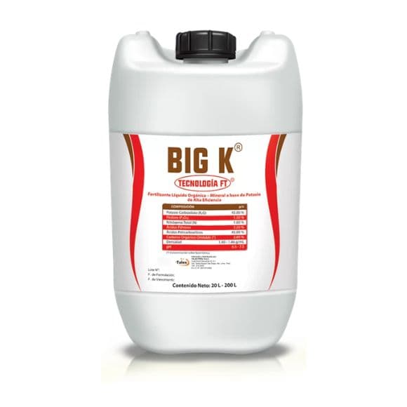BIG K FT