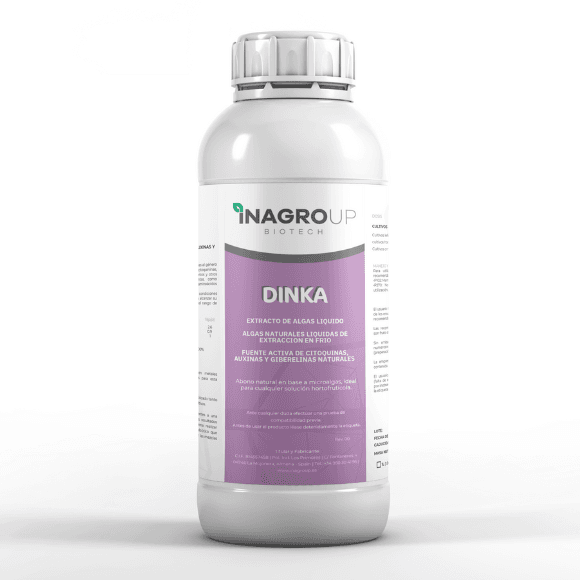 DINKA