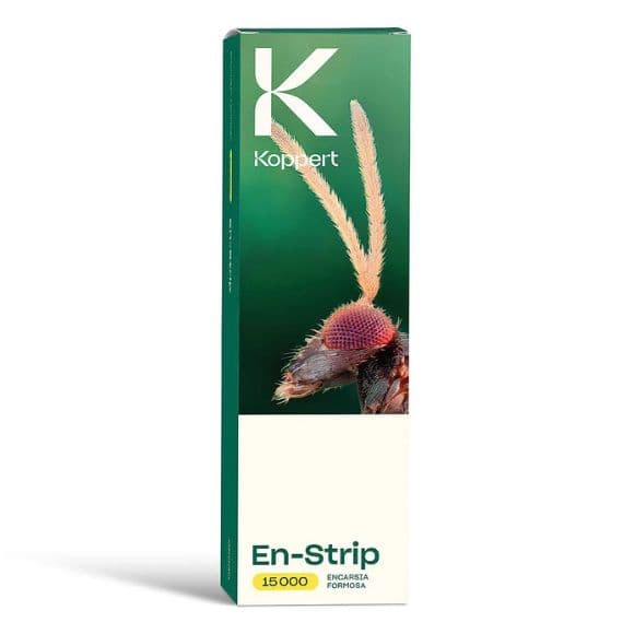 En-Strip