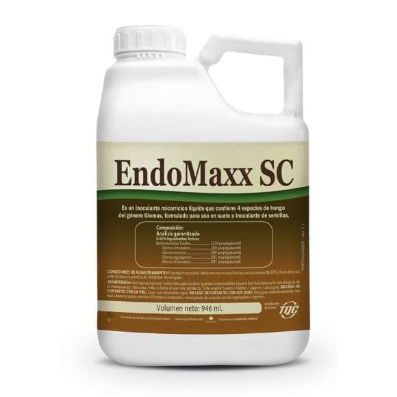 ENDOMAXX SC
