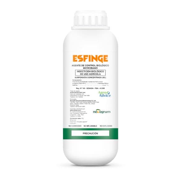 ESFINGE
