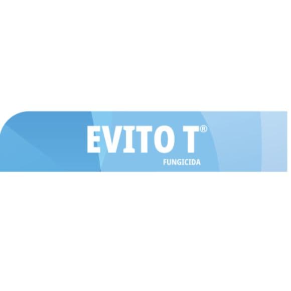 EVITO T