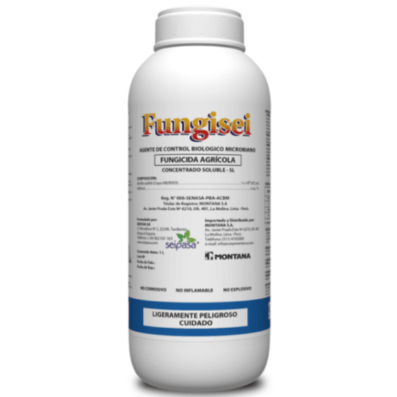 Fungisei