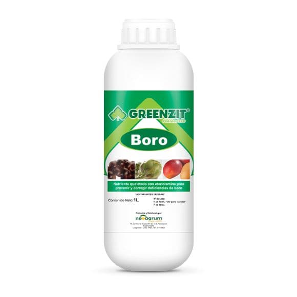 GREENZIT BORO