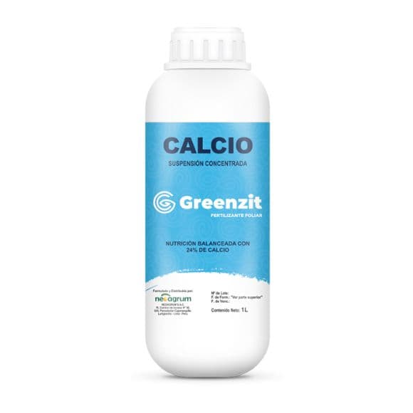 GREENZIT CALCIO