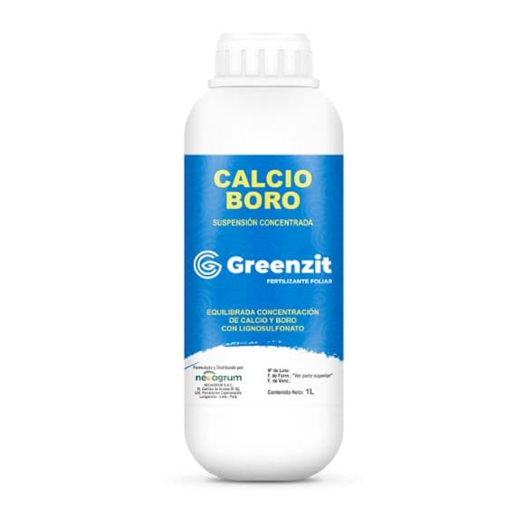 GREENZIT CALCIO – BORO