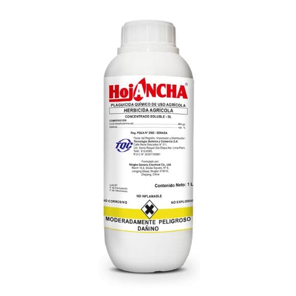 HOJANCHA
