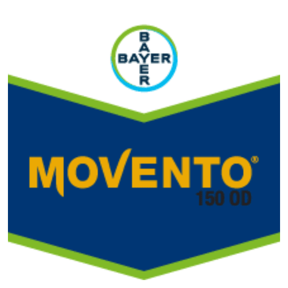 MOVENTO 150 OD
