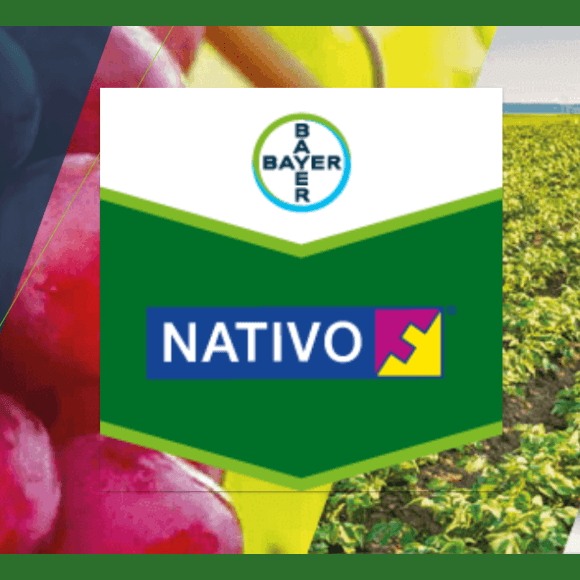 NATIVO® 75 WG