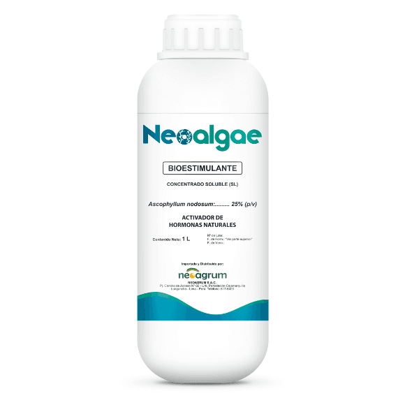 NEO ALGAE