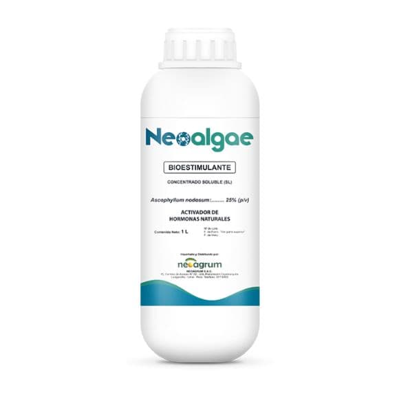 NEOALGAE