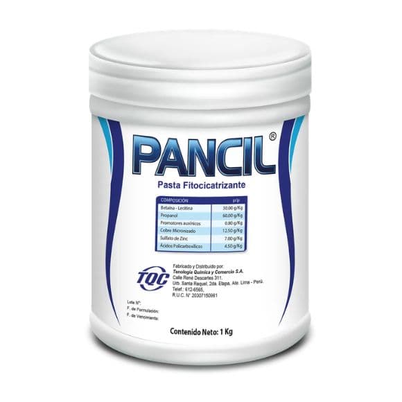 PANCIL