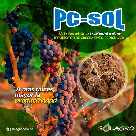PC-SOL