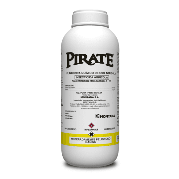 Pirate