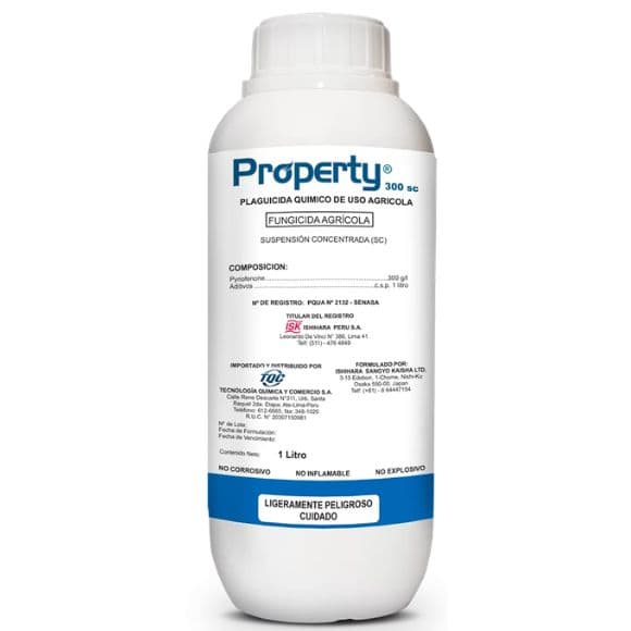 PROPERTY 300 SC