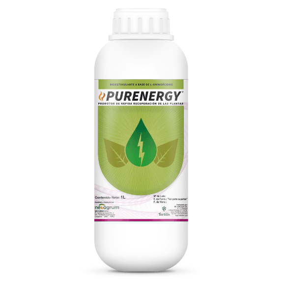 PURENERGY