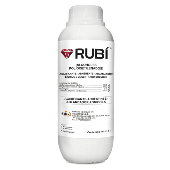 RUBÍ