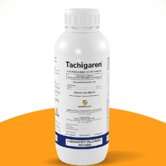 TACHIGAREN