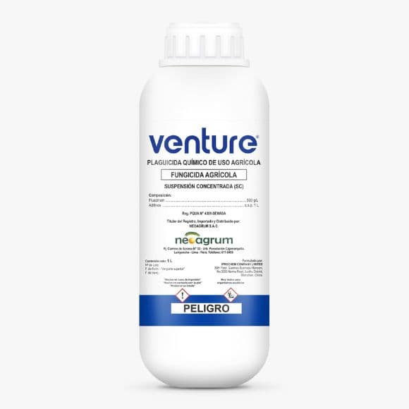 VENTURE
