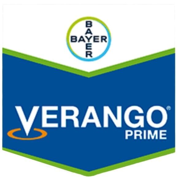 VERANGO PRIME