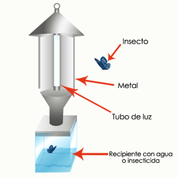 Trampas de luz