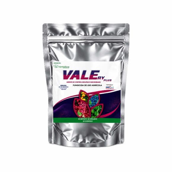 VALERY PLUS