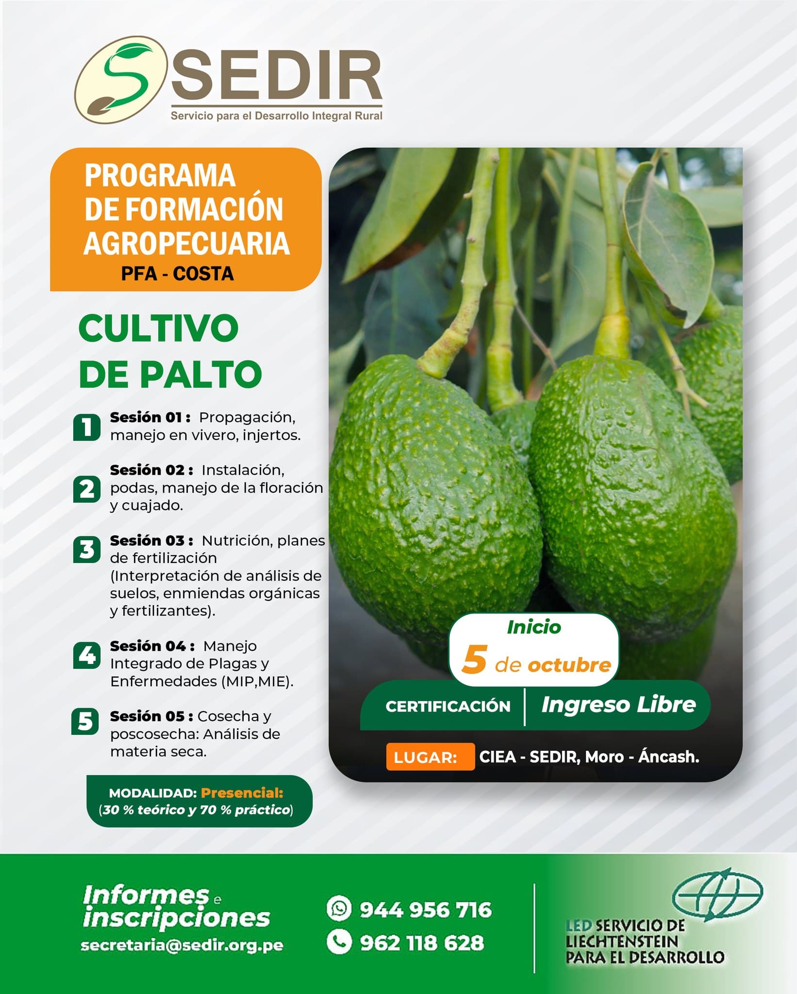 #Evento: Programa de Formación Agropecuaria (Costa) – SEDIR: CULTIVO DE PALTO