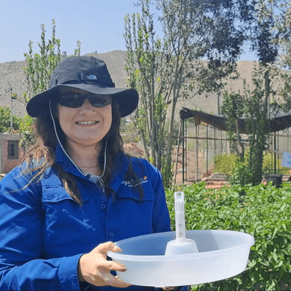 Feromonas: Herramientas Innovadoras para una Agricultura Sostenible y Eficaz en el Control de Plagas
