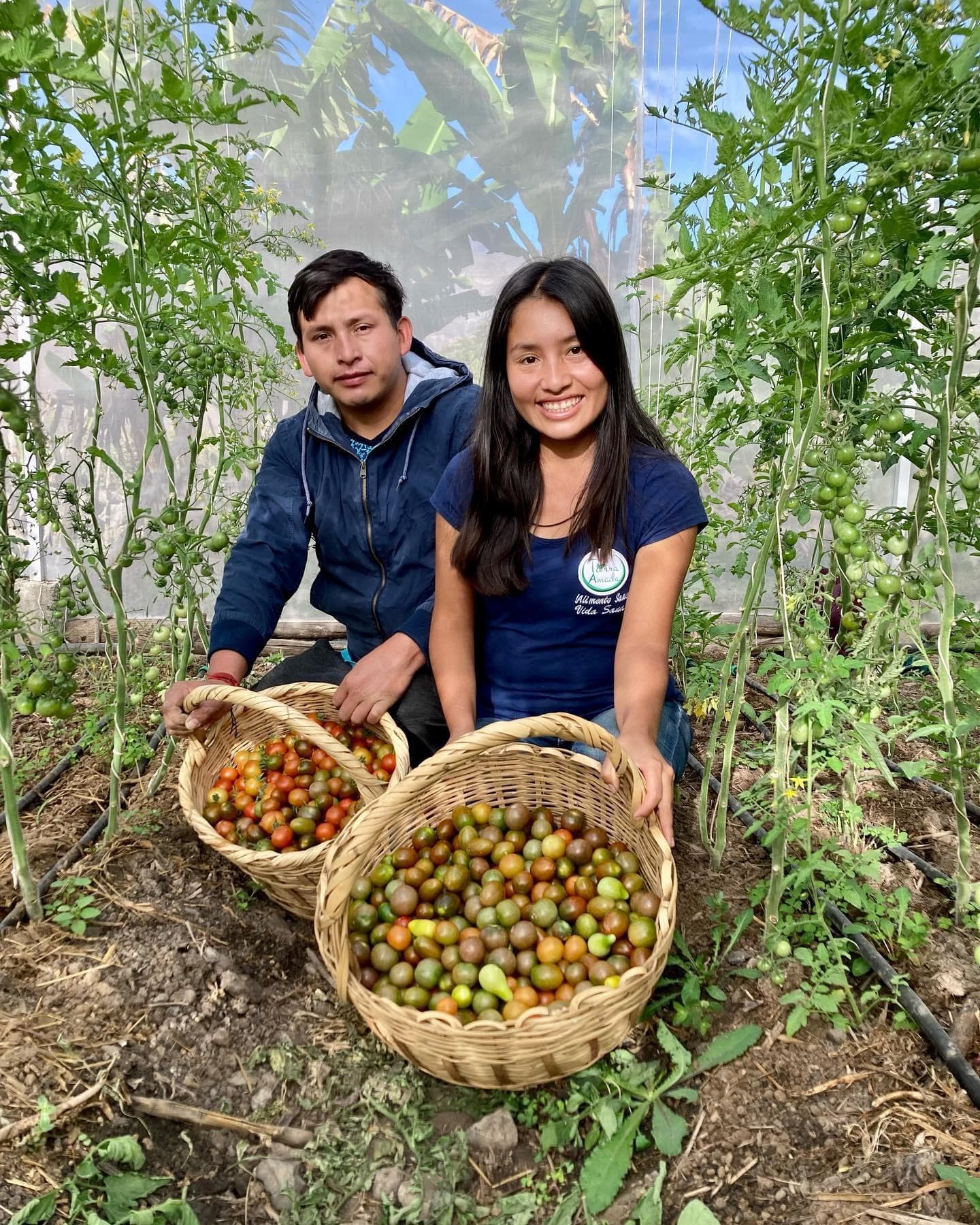 Tierra Amada: Agricultura ecológica liderada por Mujeres