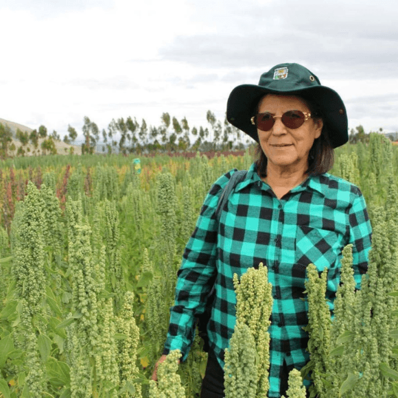 La Quinua, de agricultura familiar a producción de gran escala