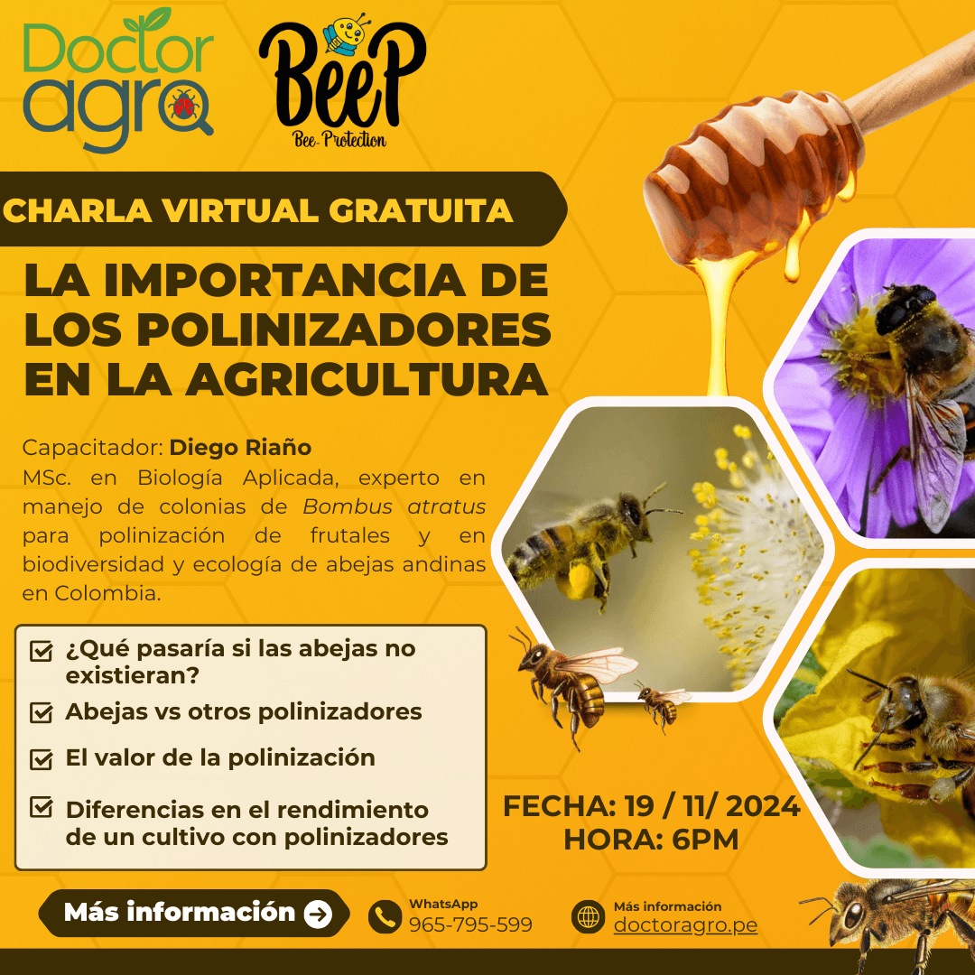 CHARLA VIRTUAL: La importancia de los polinizadores en la agricultura