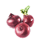Cebolla