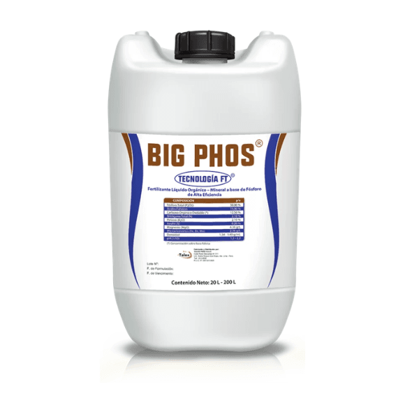 BIG PHOS