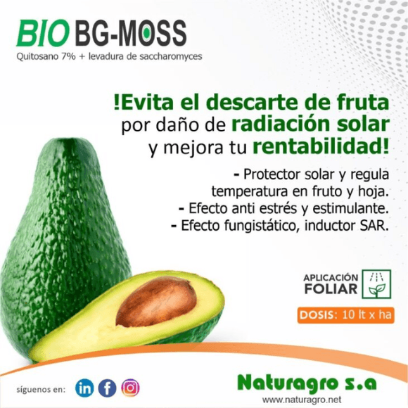 BIO BG-MOSS