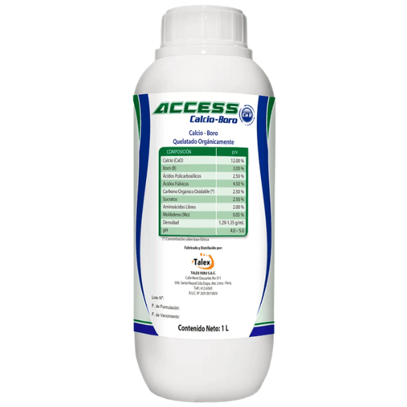ACCESS CALCIO BORO