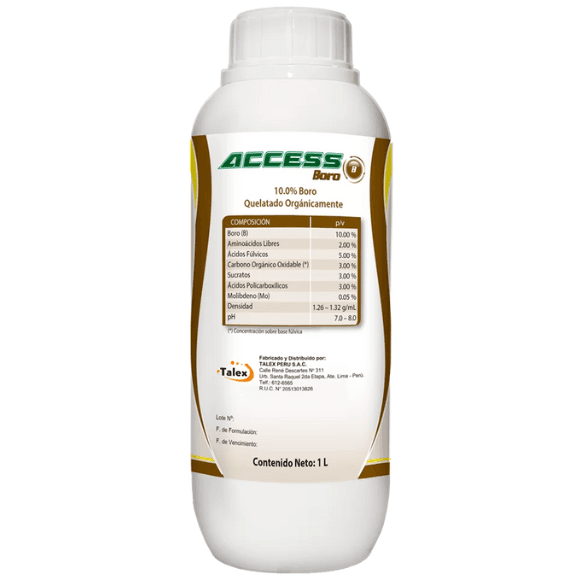 ACCESS BORO