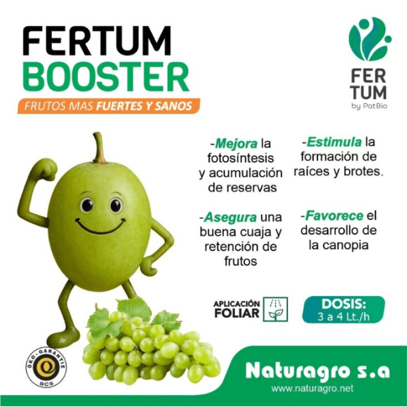 FERTUM BOOSTER
