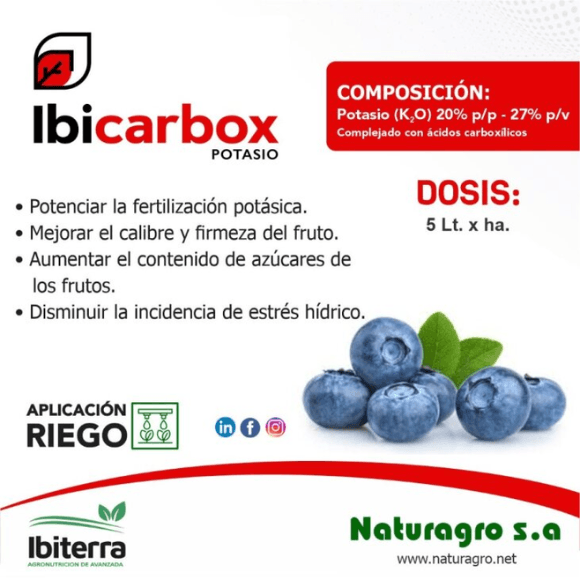IBICARBOX Potasio®