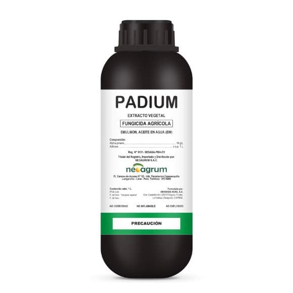 PADIUM