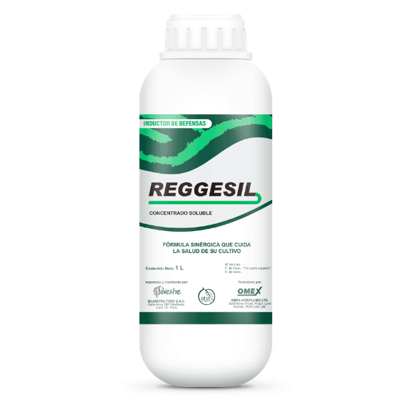 REGGESIL