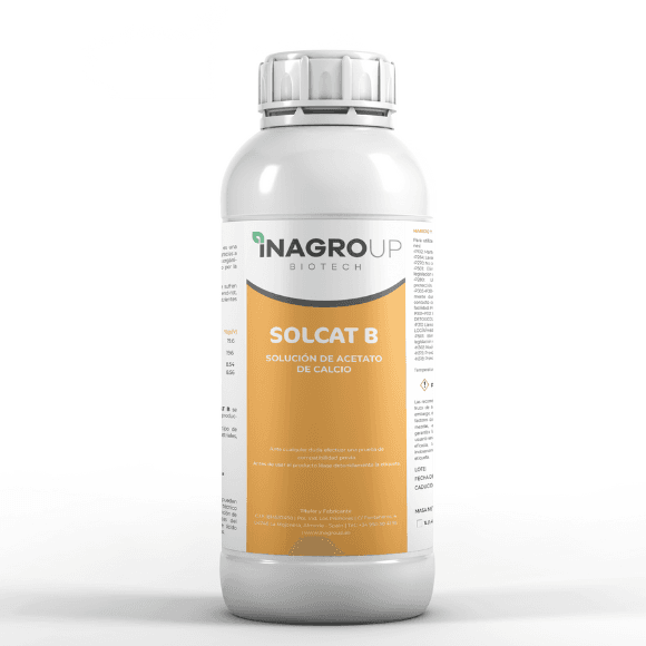 SOLCAT B
