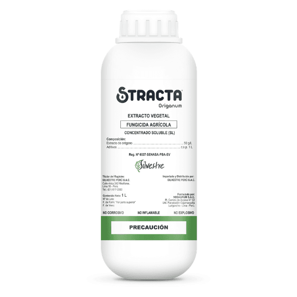 STRACTA ORIGANUM