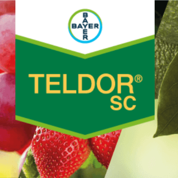 TELDOR SC ®
