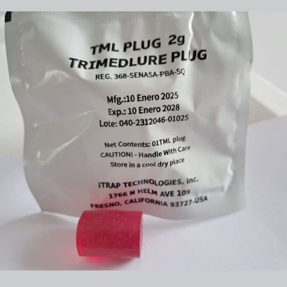 TML Plug