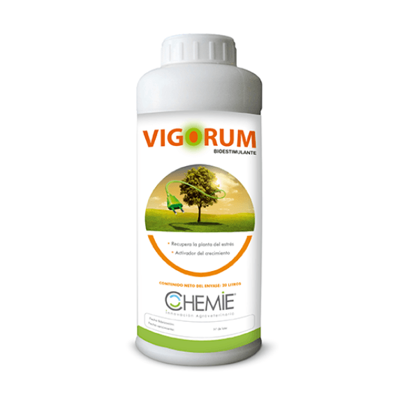 VIGORUM