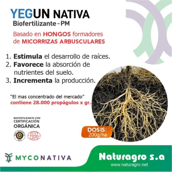 Yegun® Nativa