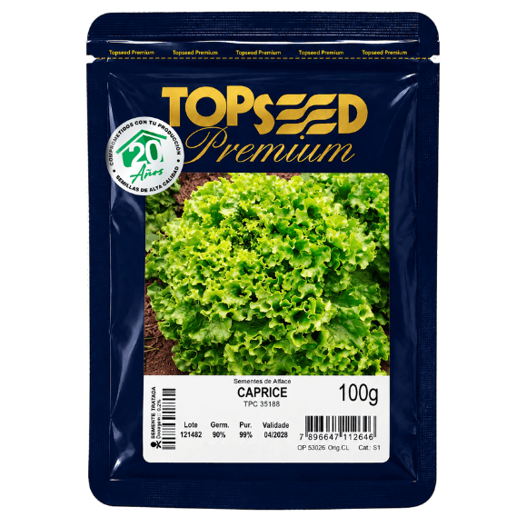 LECHUGA CAPRICE